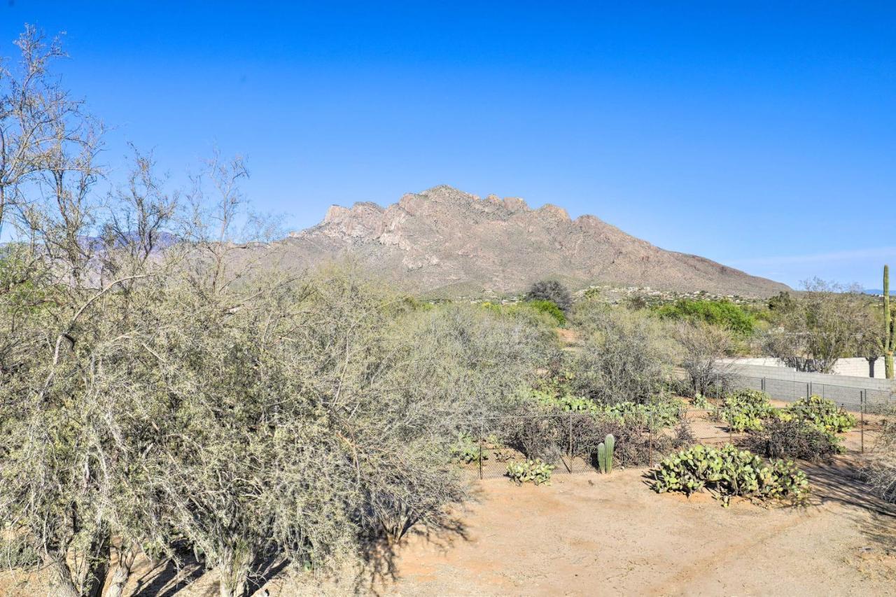 Oro Valley Retreat With Pool, Spa And Rooftop Views! Eksteriør bilde